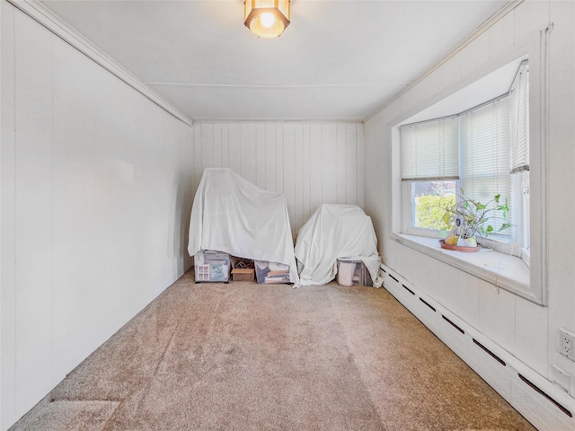 1994 Pine St, North Baldwin, NY 11510 - unfurnished room with a baseboard radiator and carpet flooring