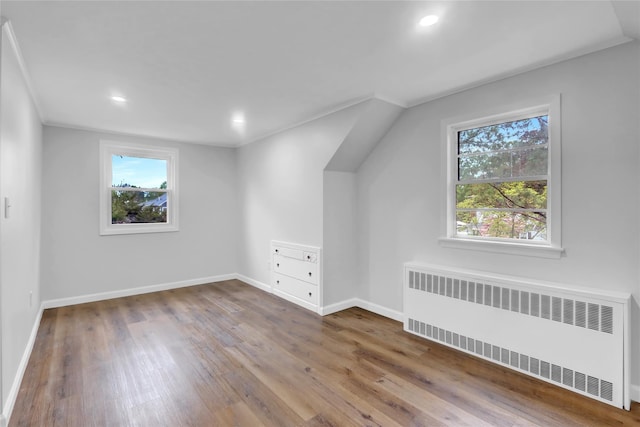 30 Inwood Rd, Glen Cove, NY 11542 - additional living space featuring radiator, plenty of natural light, baseboards, wood finished floors, and recessed lighting