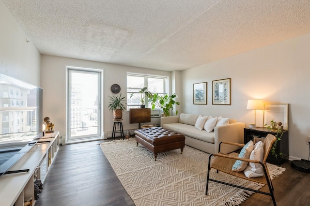 260 Bch 81st St Unit 5T, Rockaway Beach, NY 11693 - living room with a textured ceiling and dark wood-style floors