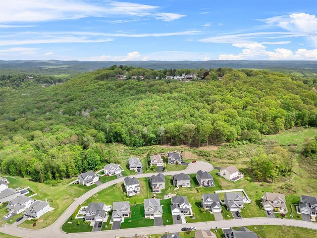 32 N Ridge Rd, Mahopac, NY 10541 - view of property location with a forest and nearby suburban area