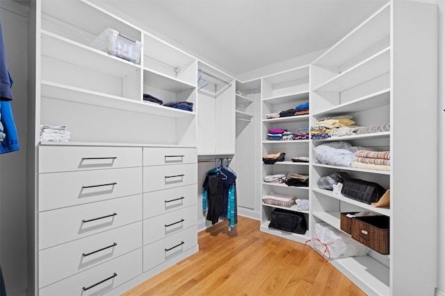 32 N Ridge Rd, Mahopac, NY 10541 - walk in closet featuring light wood-style floors