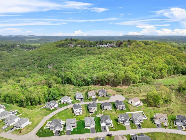 32 N Ridge Rd, Mahopac, NY 10541 - view of property location with a forest and nearby suburban area