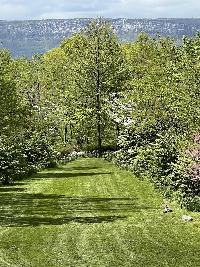 117 Dusinberre Rd, Gardiner, NY 12525 - surrounding community with a lawn and a wooded view
