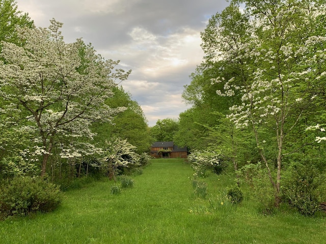 117 Dusinberre Rd, Gardiner, NY 12525 - view of yard with a view of trees