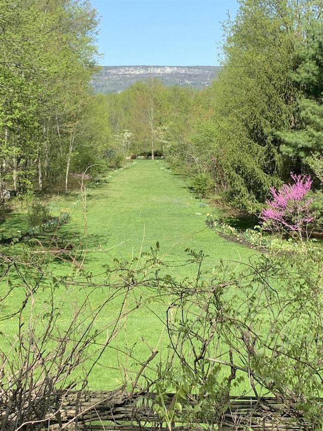 117 Dusinberre Rd, Gardiner, NY 12525 - photo 14
