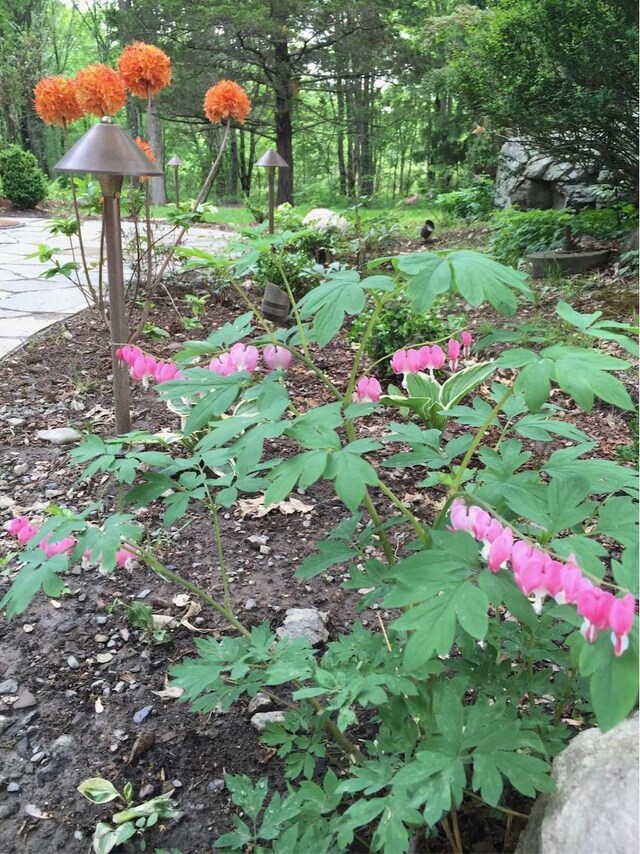 117 Dusinberre Rd, Gardiner, NY 12525 - photo 30