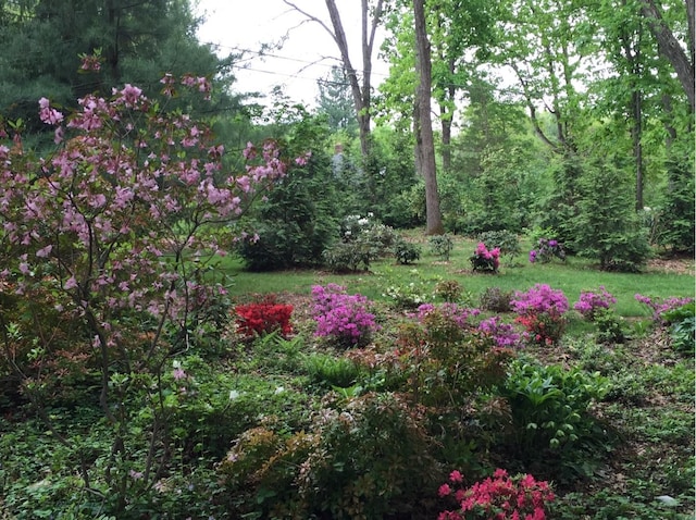 117 Dusinberre Rd, Gardiner, NY 12525 - photo 31