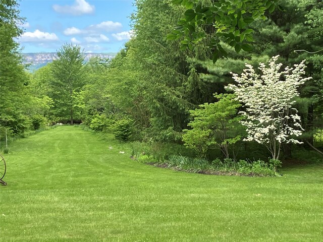 117 Dusinberre Rd, Gardiner, NY 12525 - photo 41