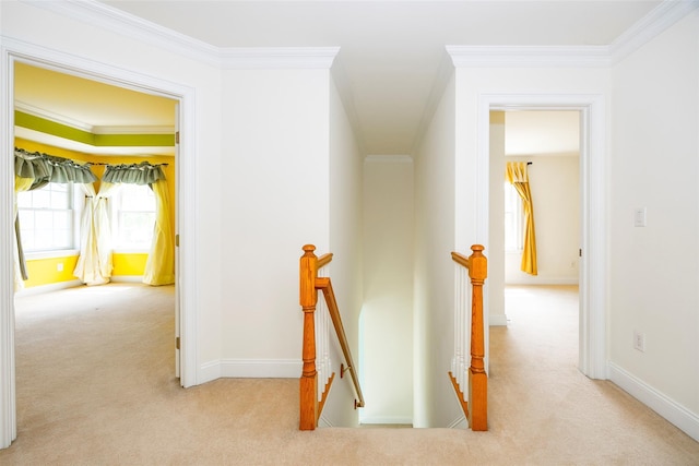 hall with baseboards, carpet, and an upstairs landing