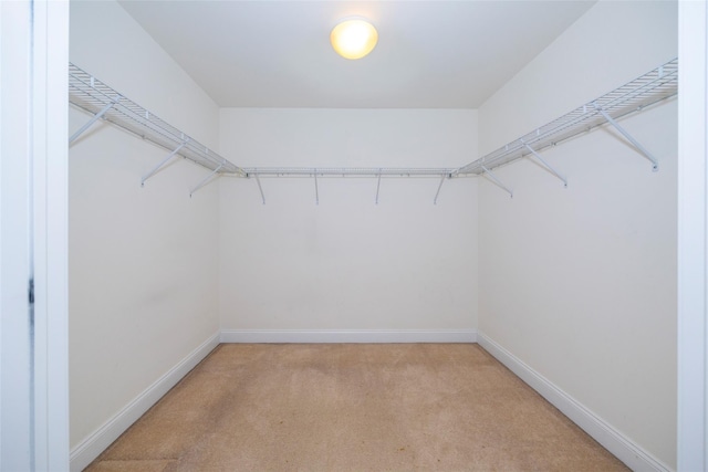 walk in closet with light carpet
