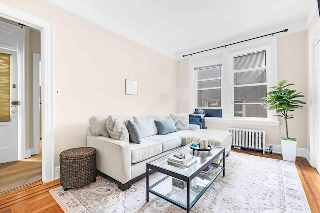 living room with baseboards, radiator, and wood finished floors