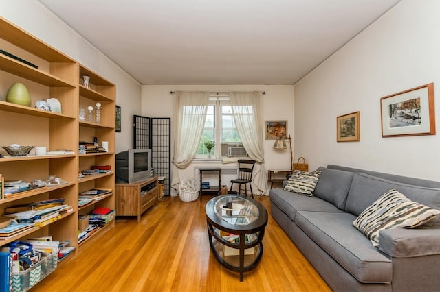 living room featuring light wood finished floors