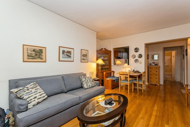 living room with wood finished floors
