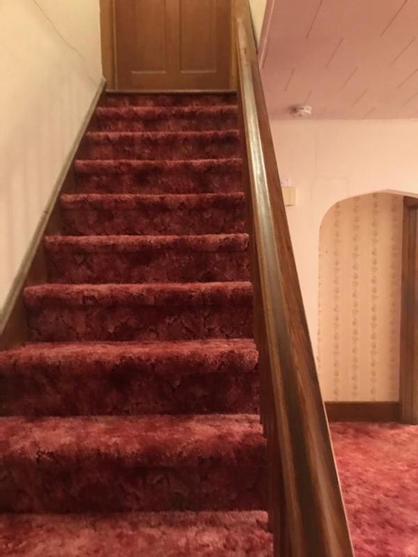 stairway with baseboards and carpet