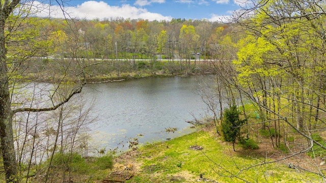 property view of water featuring a view of trees