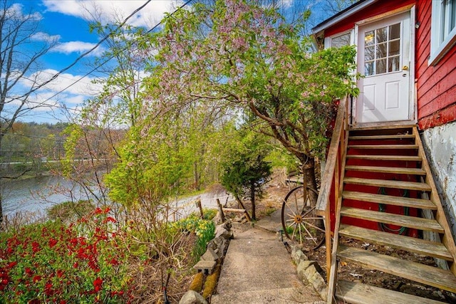 view of yard featuring entry steps