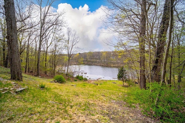 water view featuring a forest view