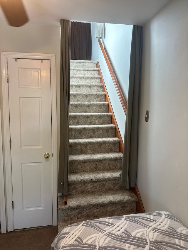 stairs with carpet