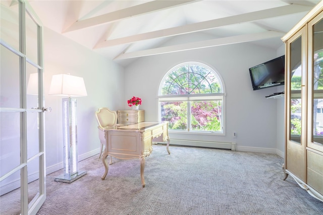 5 Samuel Ct, Syosset, NY 11791 - carpeted office space with a baseboard heating unit and baseboards