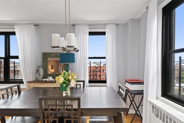dining area featuring radiator