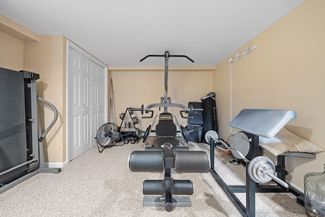 142 Rte 25a, Shoreham, NY 11786 - exercise area with baseboards and carpet floors