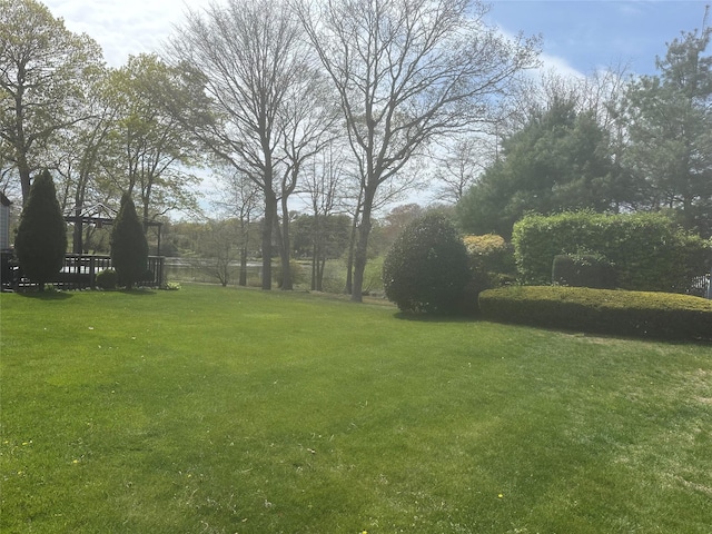 view of yard