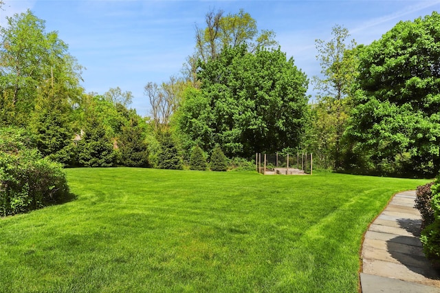 view of green lawn