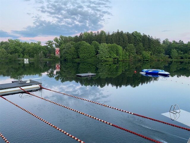 water view with a dock and a forest