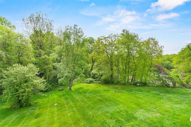 311 Fox Run Ln, Carmel, NY 10512 - view of green lawn