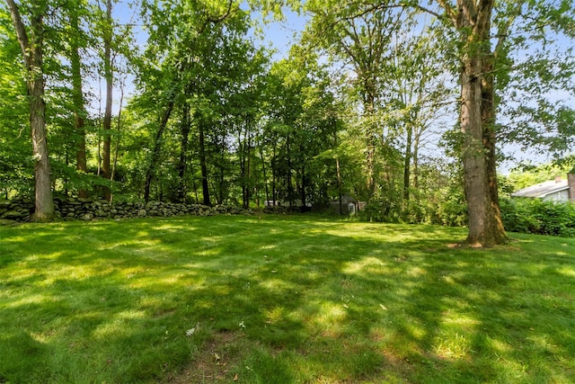7 Cobblestone Ln, Cortlandt Manor, NY 10567 - view of green lawn