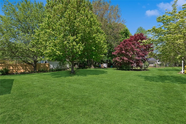 264 Washington Ave, Jamesport, NY 11947 - view of yard