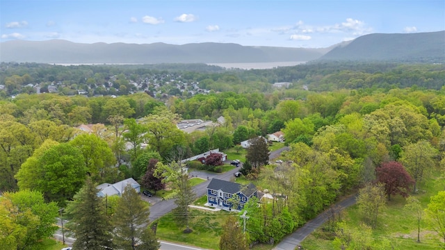 aerial view with a forest view and a mountain view