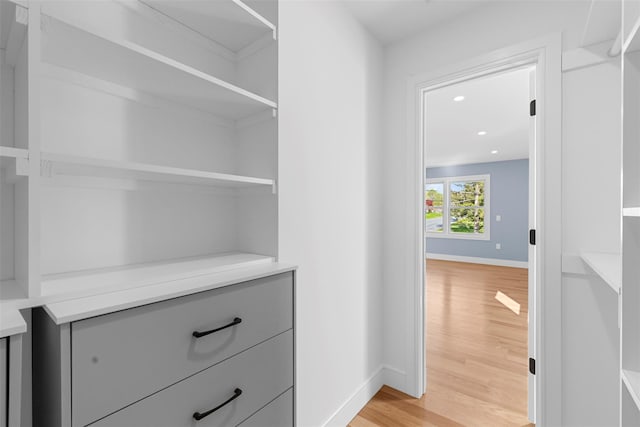 walk in closet with light wood-type flooring