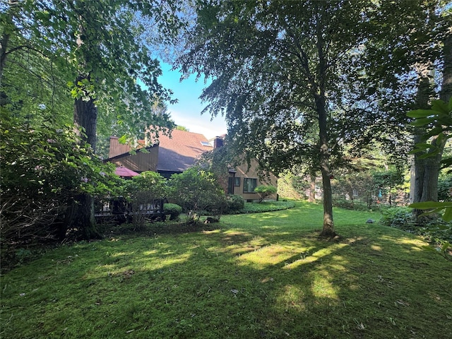 6 Circle Dr, Shoreham, NY 11786 - view of grassy yard
