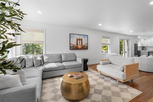 living area featuring wood finished floors, baseboards, and recessed lighting