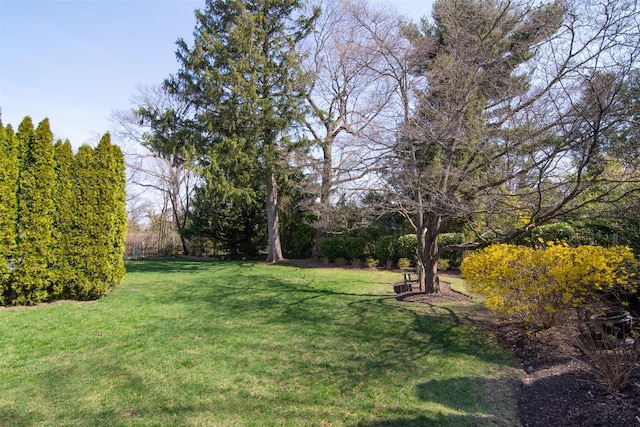 668 Francis St, Pelham, NY 10803 - view of yard