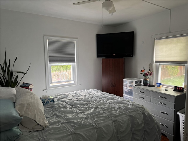 5 W Stone St, Newburgh, NY 12550 - bedroom featuring multiple windows and a ceiling fan