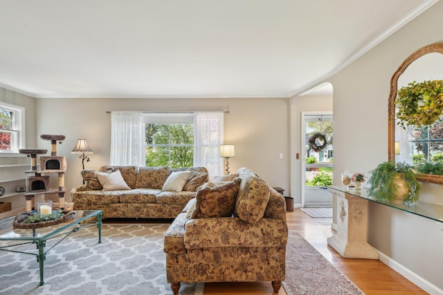 living room featuring crown molding, light wood-style flooring, and a wealth of natural light