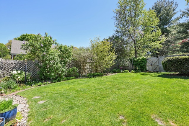 view of yard featuring a fenced backyard