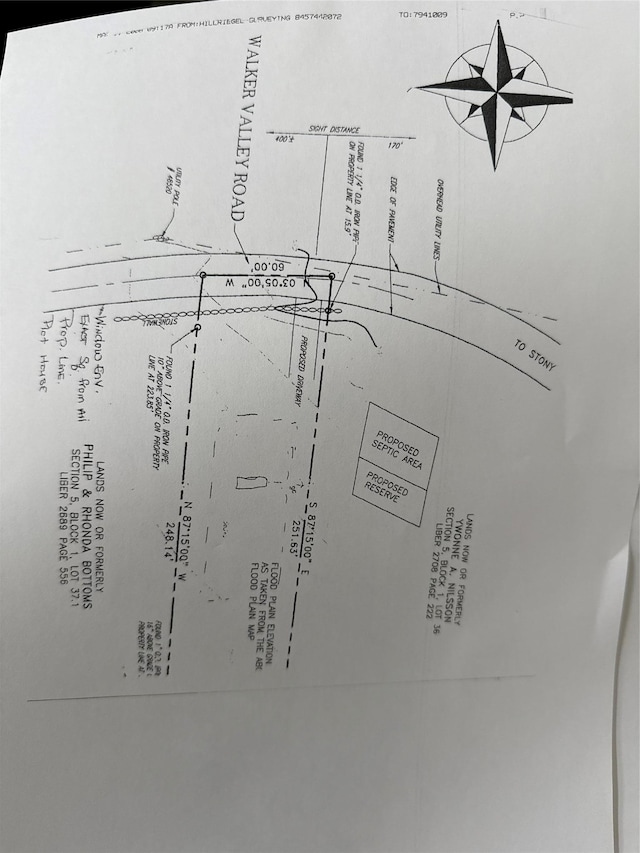  - photo 2