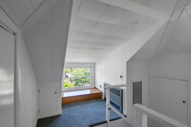 65 Hamilton Pl, Tarrytown, NY 10591 - additional living space featuring carpet and vaulted ceiling
