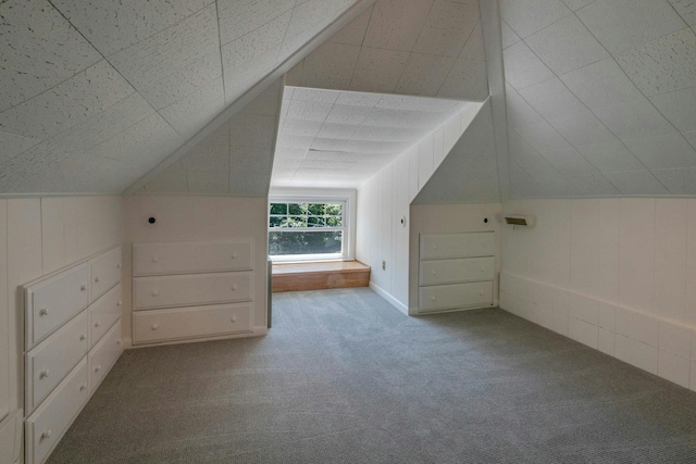 65 Hamilton Pl, Tarrytown, NY 10591 - bonus room featuring carpet floors and vaulted ceiling
