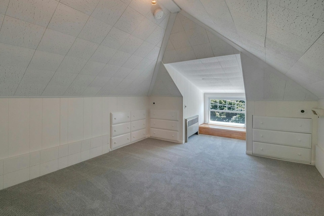 65 Hamilton Pl, Tarrytown, NY 10591 - bonus room with radiator heating unit, carpet flooring, and lofted ceiling