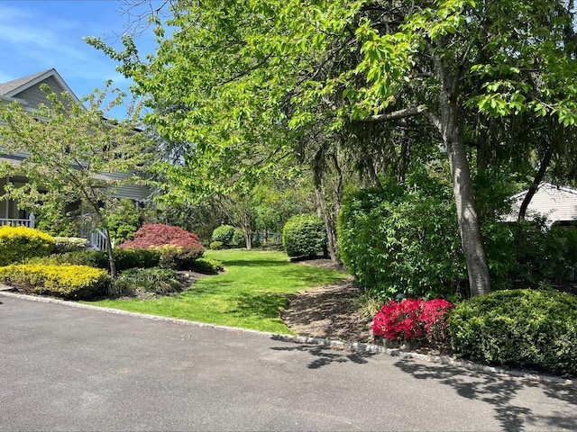 surrounding community with a yard