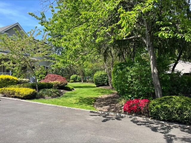 36VANDERBILT 36 Vanderbilt Ave, Saint James, NY 11780 - view of grassy yard