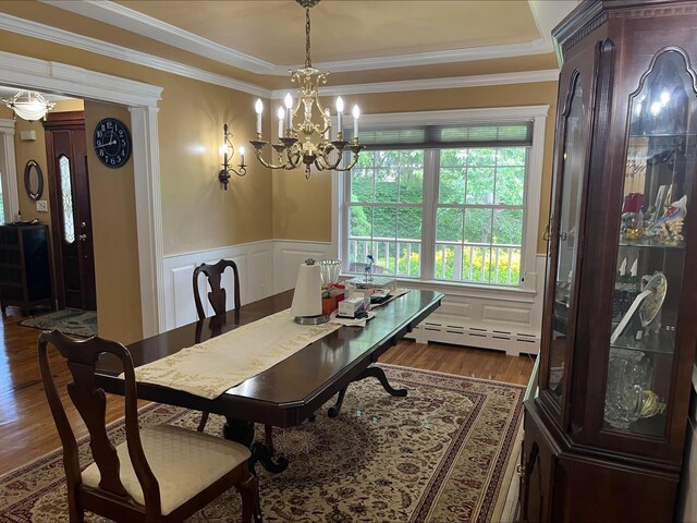 36VANDERBILT 36 Vanderbilt Ave, Saint James, NY 11780 - dining room with dark wood-style floors, baseboard heating, a chandelier, crown molding, and a tray ceiling