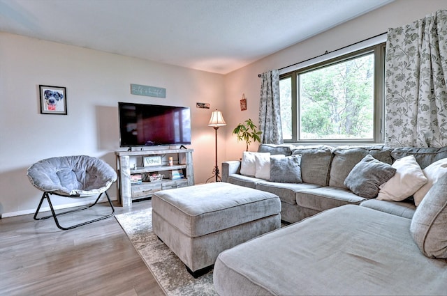 80 Saint Anns Ave, Copiague, NY 11726 - living room featuring wood finished floors