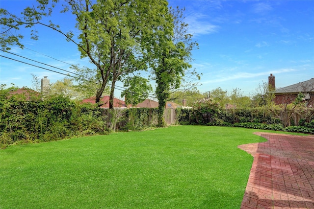 view of yard with a patio area and a fenced backyard