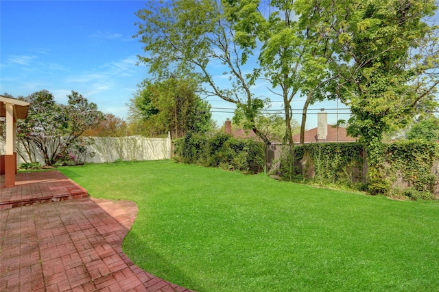 view of yard featuring a patio area and a fenced backyard