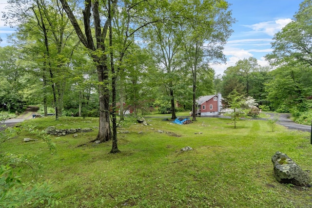 41 Birch Trl, Carmel, NY 10512 - photo 40